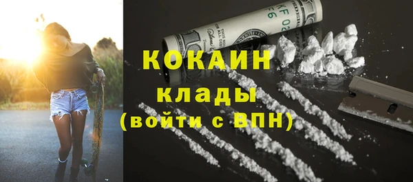 PSILOCYBIN Осинники