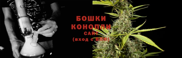 PSILOCYBIN Осинники