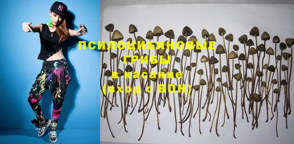PSILOCYBIN Осинники